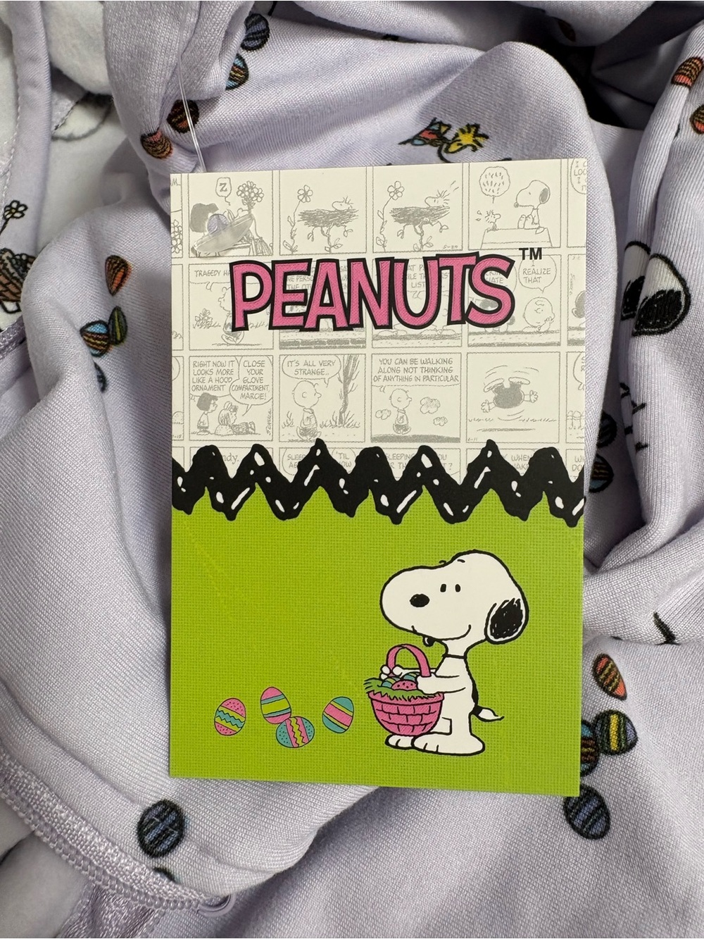 Peanuts Snoopy & Woodstock Easter Hoodie - Picture 5 of 5